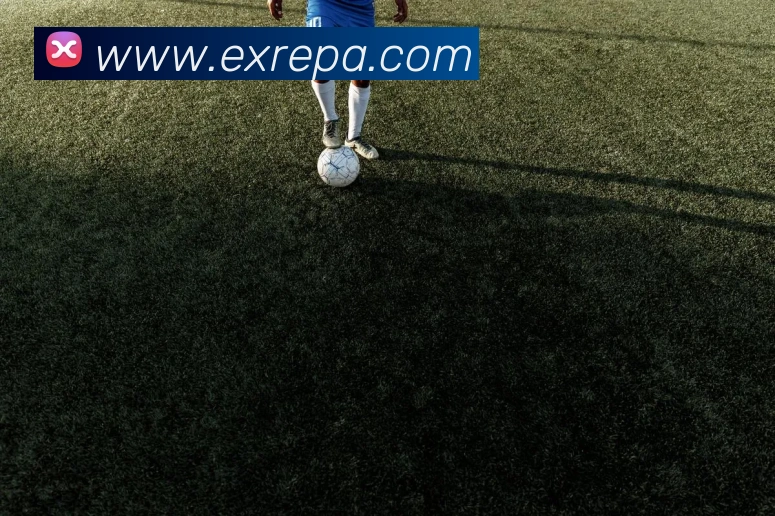 pa视讯APP 封面图